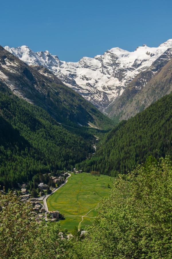 Apartmán Nido Delle Aquile Cogne Exteriér fotografie